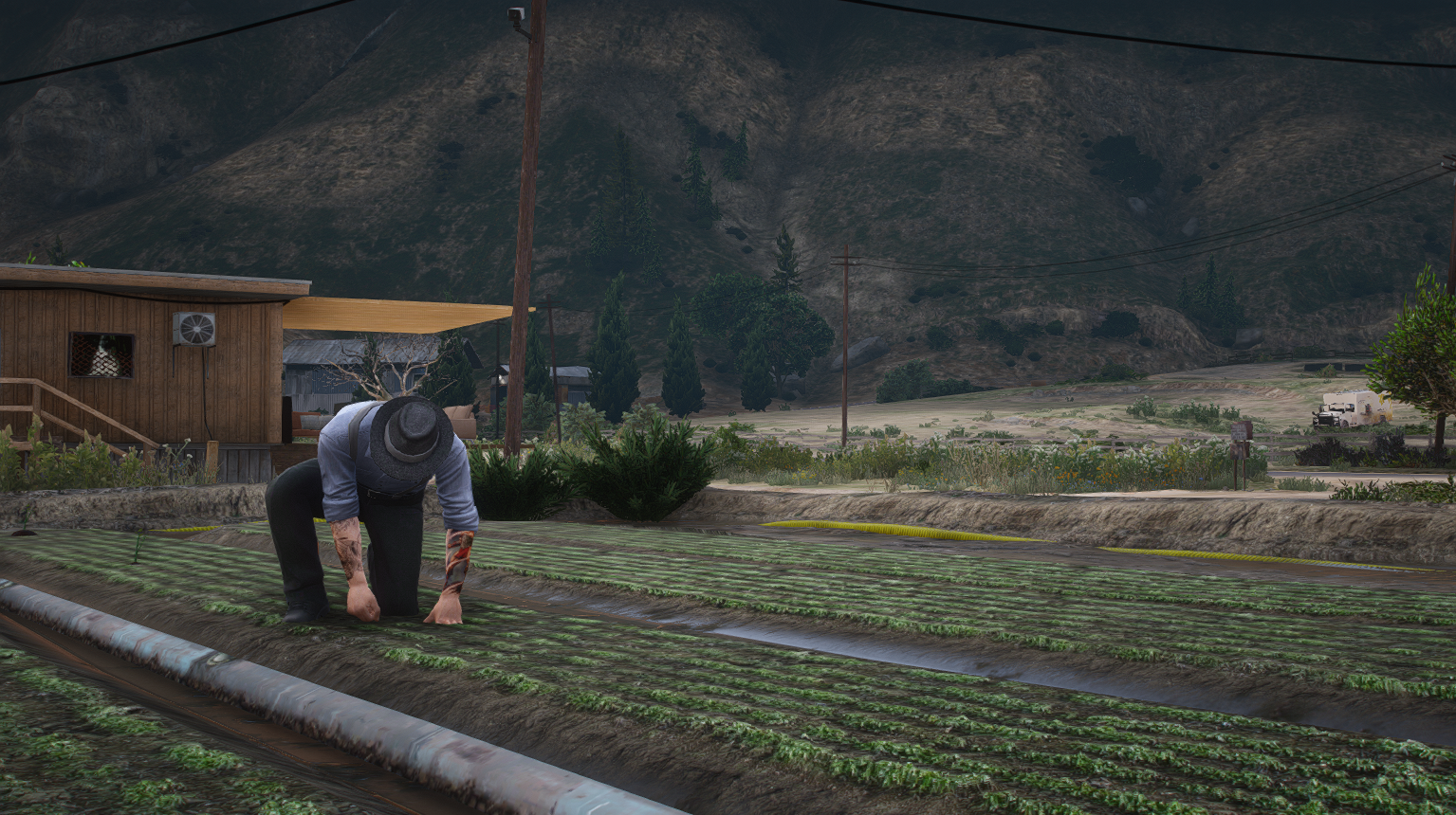 Farming Activity